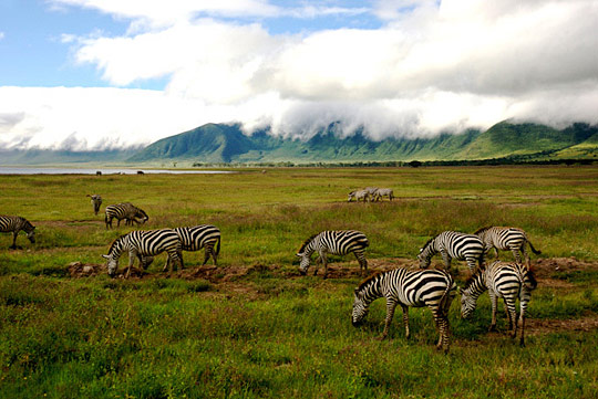 Africa Photography i1a96 Africa Photography