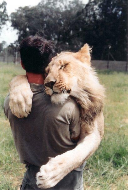 i1c125 Amazing Animals #8