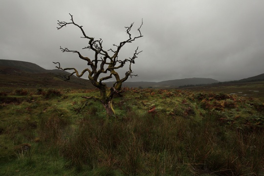 ls 1 Amazing Nature Landscapes