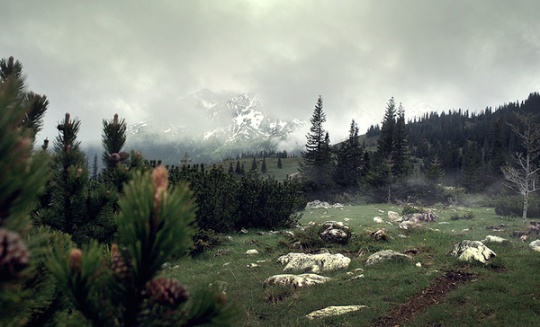 ls 2 Amazing Nature Landscapes