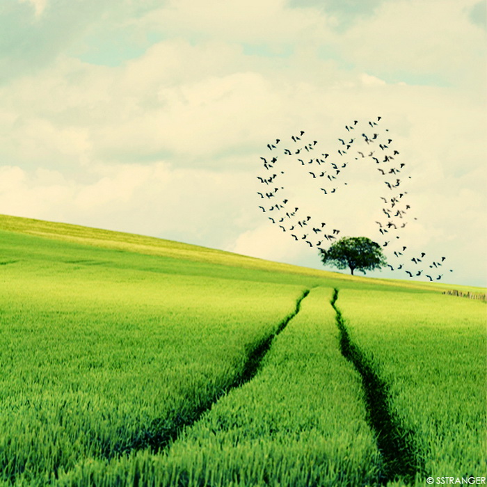 28 Beautiful Heart Shape In Nature Photos nature heart 2 28 Beautiful Heart Shape In Nature Photos
