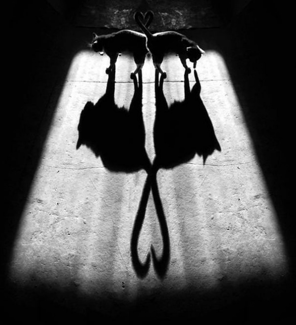 Amazing shadows photo manipulations sh 2 Amazing shadows photo manipulations