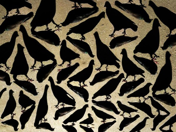 Amazing shadows photo manipulations sh3 Amazing shadows photo manipulations