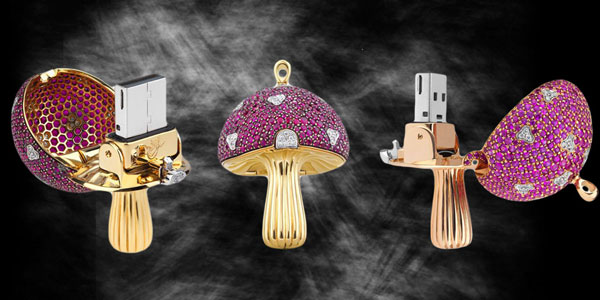  The Magic Mushrooms