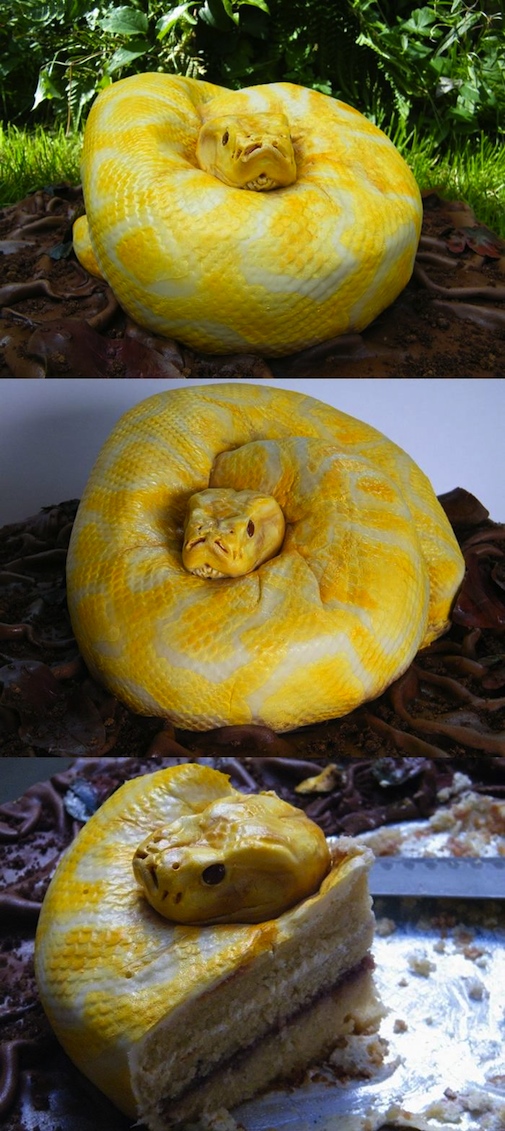 snakecake Snake cake