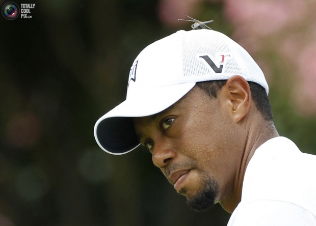 sport 2 Sport photos of the Year