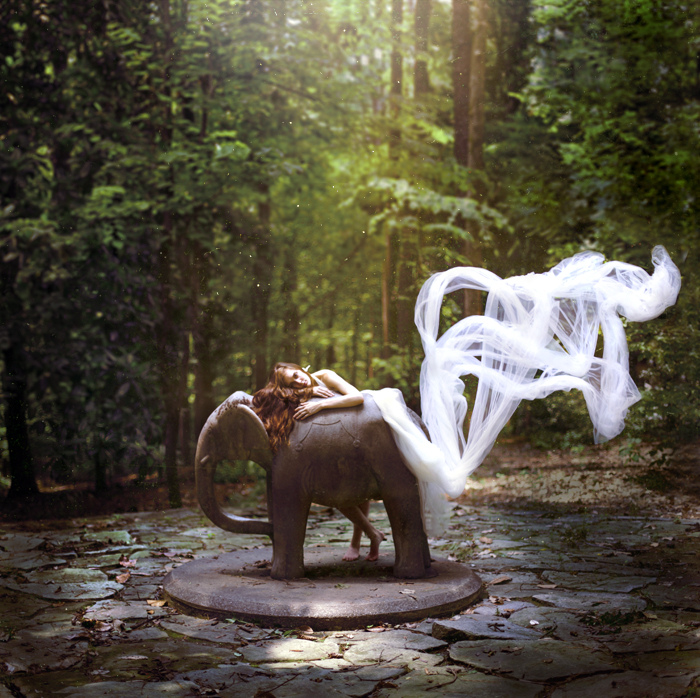 Whisked Away Into a Magical Fairy Tale Whisked Away Into a Magical Fairy Tale