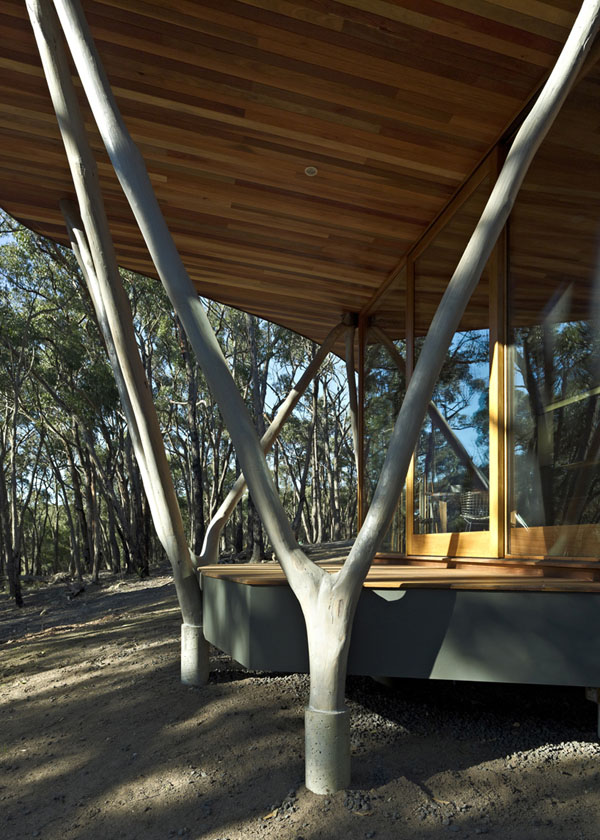  The Trunk House in Victoria, Australia