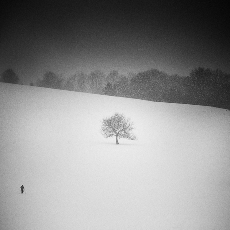 Photography by Zoltan Bekefy winter6 Photography by Zoltan Bekefy