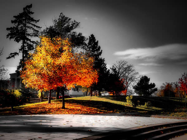 www.stuffkit.com 520 36 Best Selective Color Photos