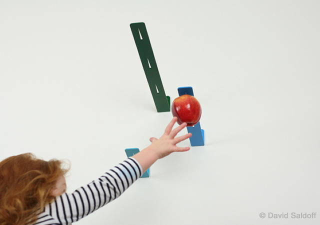 NEWTON: picking fruit by David Saldoff 3o10 NEWTON: picking fruit by David Saldoff