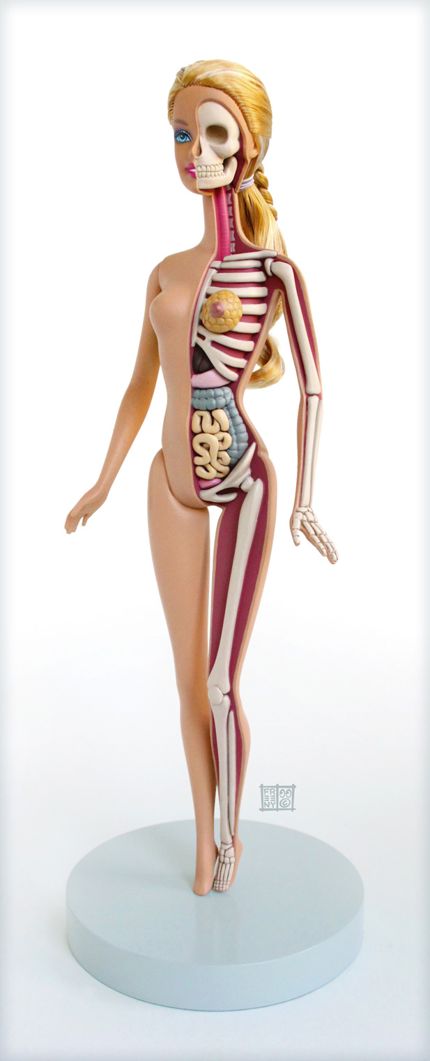 Anatomical Barbie by Jason Freeny Anatomical Barbie Jason Freeny 01 Anatomical Barbie by Jason Freeny