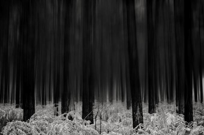 Abstract Photography by Chris Friel Chris Friel Abstract Photography by Chris Friel