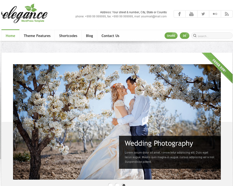 15+ New WordPress Themes Elegance 15+ New WordPress Themes