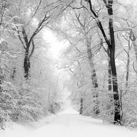 Heart Touching Photography 2 Black and White Photography
