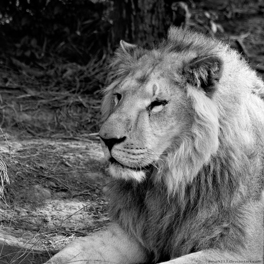 Heart Touching Photography 3 Black and White Photography