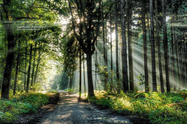 Nature Photography by Luuk Belgers Luuk Belgers Nature Photography by Luuk Belgers