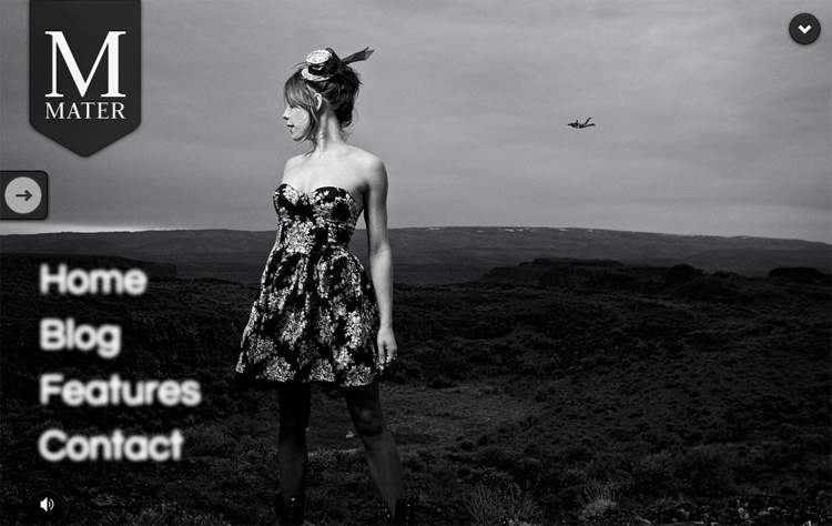 18 WordPress Photo Gallery Themes Mater 18 WordPress Photo Gallery Themes