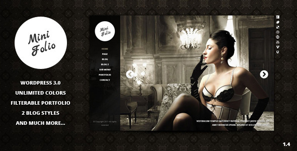 MiniFolio Portfolio Wordpress Theme  50+ WordPress Photography Themes 