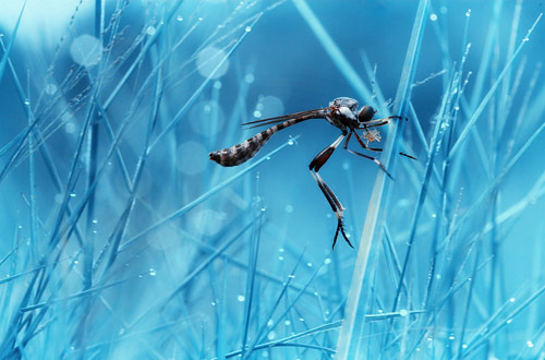 Random Pictures Inspiration N23 Random Photo 221 Random Pictures Inspiration N23