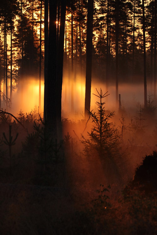 Random Pictures Inspiration N23 Random Photo 222 Random Pictures Inspiration N23