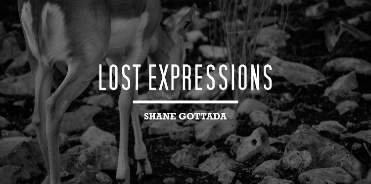 Lost Expressions by Shane Gottada Title 750x372 Lost Expressions by Shane Gottada
