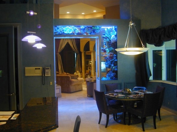 Collection of Unusual Fish Tanks Unusual Fish Tanks 22 590x442 Collection of Unusual Fish Tanks