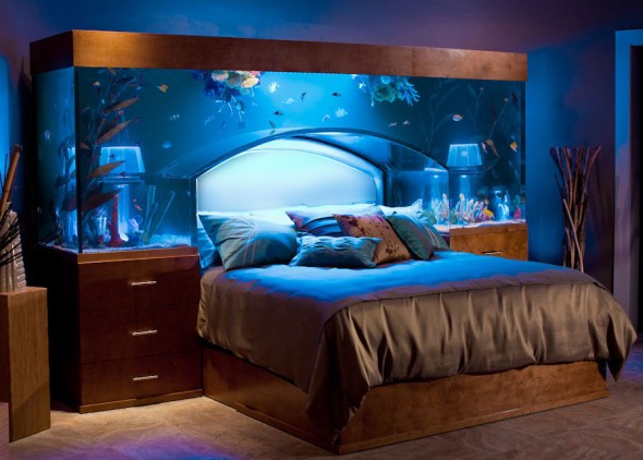 Collection of Unusual Fish Tanks Unusual Fish Tanks 25 590x422 Collection of Unusual Fish Tanks