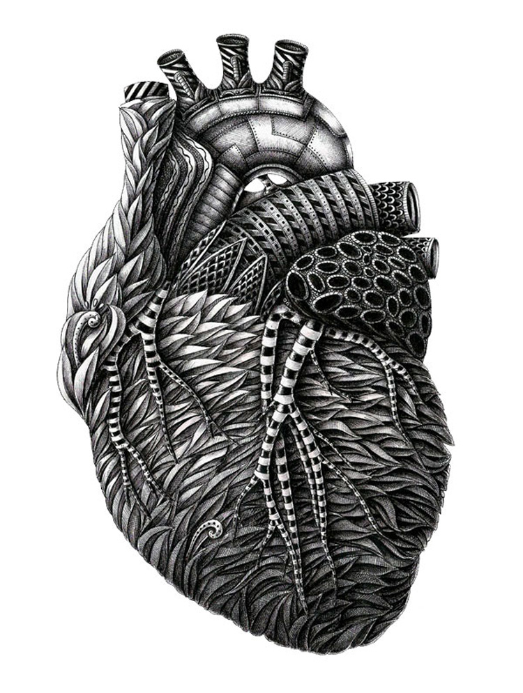 anatomy2 Anatomy by Alex Konahin