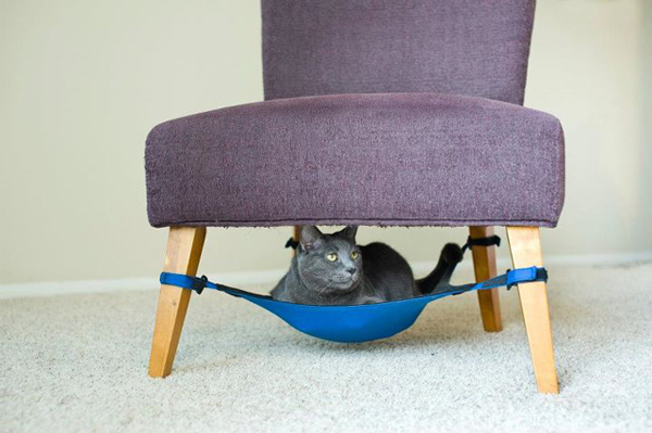 Cat Hammock Cat Hammock