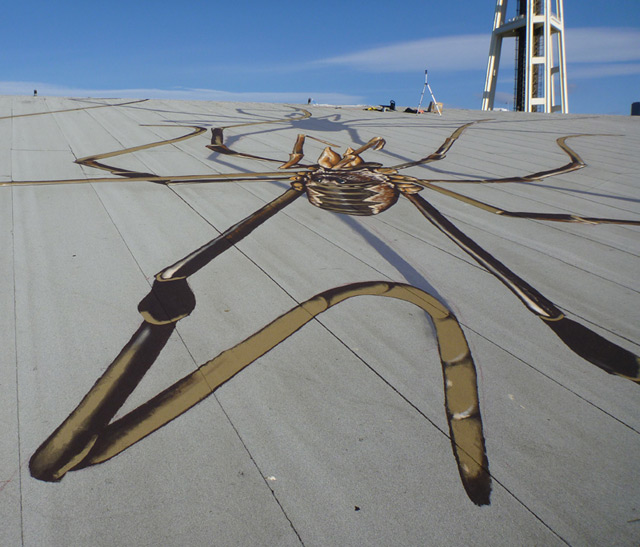 Daddy Long Legs Overtake the Seattle Center Armory daddy 3 Daddy Long Legs Overtake the Seattle Center Armory