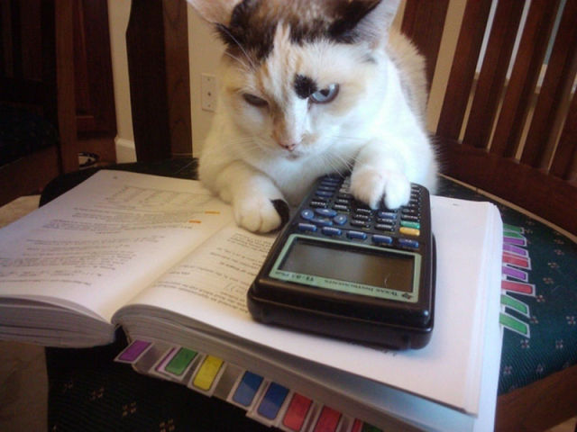 Animals too Gains Knowledge funny animals that are hungry for knowledge 640 01 Animals too Gains Knowledge