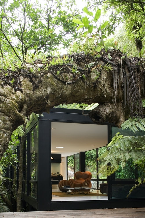 house 34 Amazing Houses