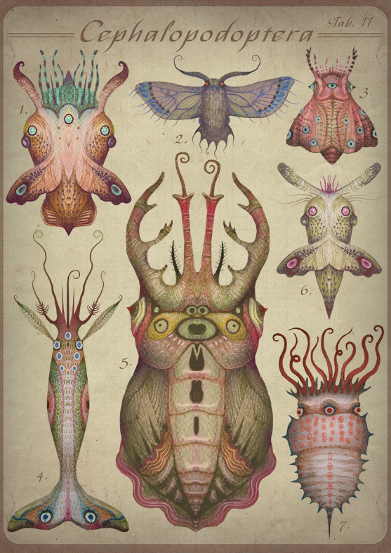 i1a Animated creatures