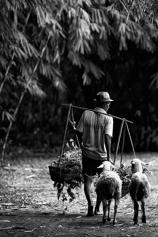 Daily life photography i1a170 Daily life photography