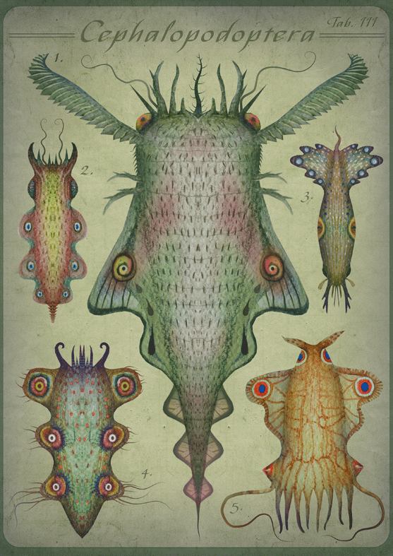 Animated creatures i1b1 Animated creatures
