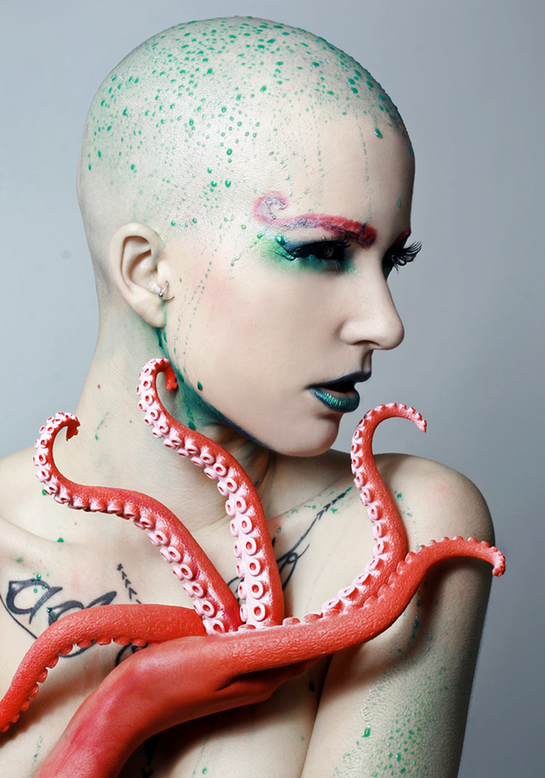 Octopus i1b116 Octopus