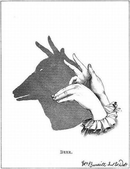 Learn Finger Shadow Art incredible shadow art 640 high 05 Learn Finger Shadow Art