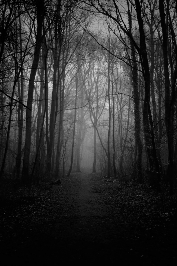 Photography by MonoStep monostep4 Photography by MonoStep