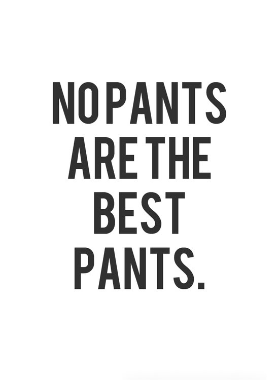 Your quote for today no pants Your quote for today