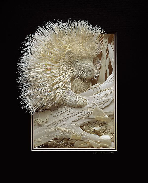 paper-sculptures-calvin-nicholls1.jpeg