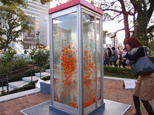 Phone Booths Turned Fish Aquariums Phone Booths Turned Fish Aquariums
