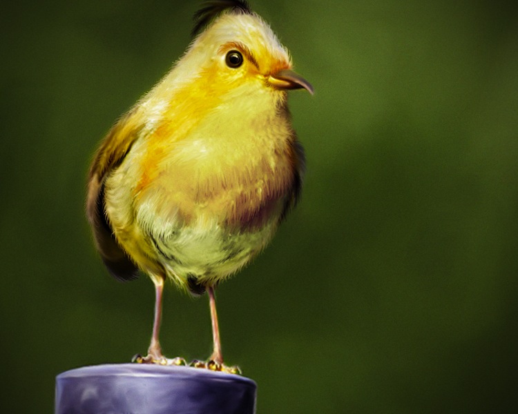  Real Life Angry Birds