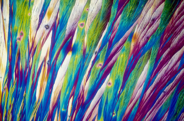 Alcohol under the microscope shot 1 Alcohol under the microscope