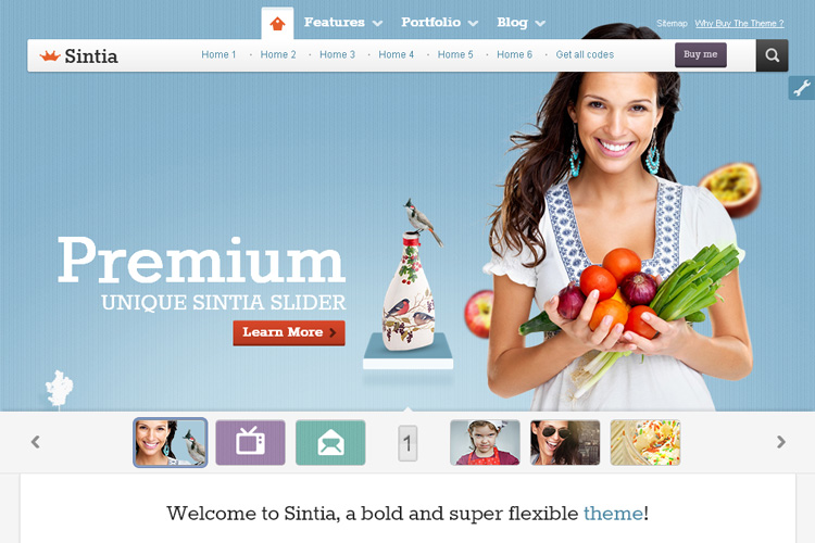 40+ Business WordPress Themes 1267 40+ Business WordPress Themes