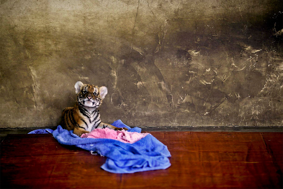 Photo of the Day: Look at me Im so cute! 146 Photo of the Day: Look at me Im so cute!