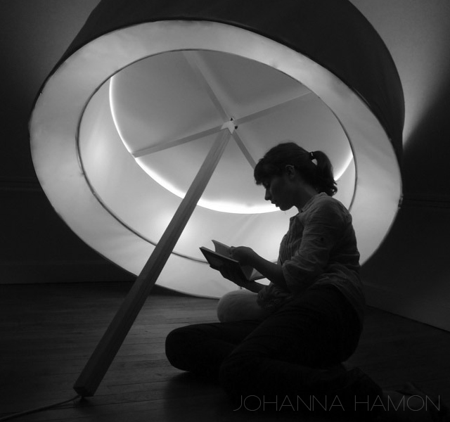 Cabinet de curiosite by Johanna Hamon 1o64 Cabinet de curiosite by Johanna Hamon