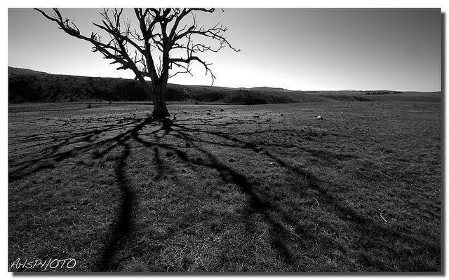 Adam Smith Photography by Adam Smith