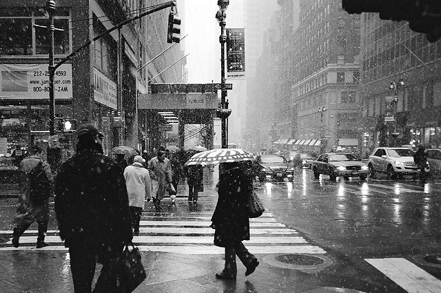 Analog New York 3 Analog New York Photos