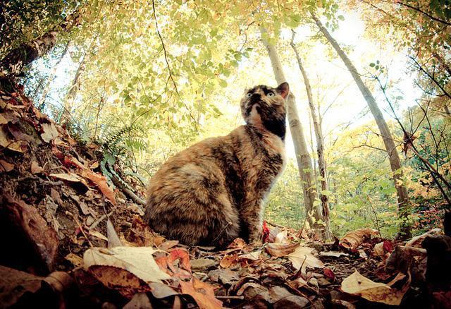 Beautiful Photography by Angela McClain Angela McClain Beautiful Photography by Angela McClain